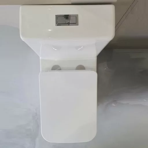 Eros ES QUADRO monoblokk WC - perem nélküli - WC ülőkével komplett - WaterMarkt.hu