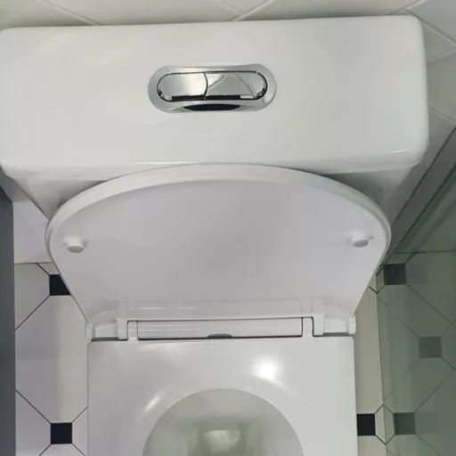 Eros ES AVVA monoblokk WC - perem nélküli - WC ülőkével komplett - WaterMarkt.hu