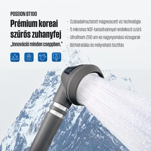 POSEION BT100® Prémium koreai revitalizáló zuhanyfej vízszűrővel, mágneses-ionizáló technológiával, szürke - WaterMarkt.hu