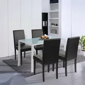 Mira 4+1 étkező garnitúra fehér-fekete - WaterMarkt.hu