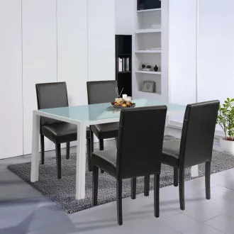 Mira 4+1 étkező garnitúra fehér-fekete - WaterMarkt.hu