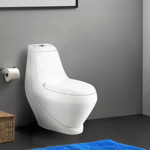 Coral Monoblokkos wc kagyló alsó kifolyással soft close ülőkével - WaterMarkt.hu