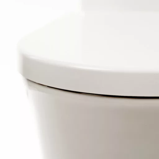 Paulo rimless WC kombi alsó/hátsó kifolyással soft close ülőkével - WaterMarkt.hu