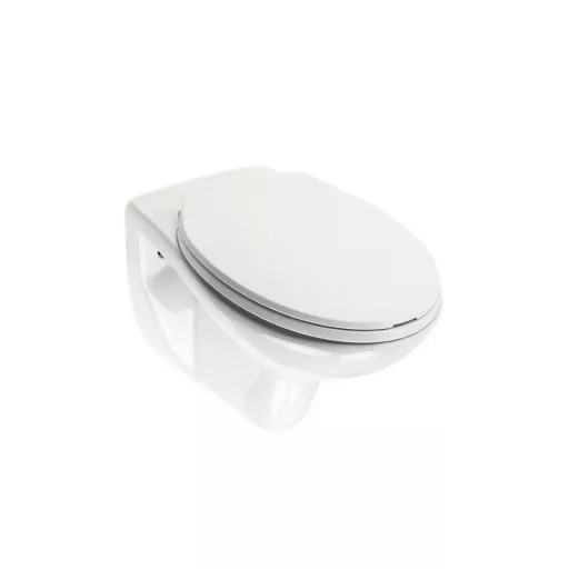Roya fali WC ülőkével - WaterMarkt.hu