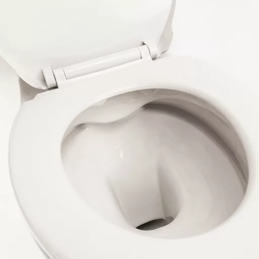 Roya fali WC ülőkével - WaterMarkt.hu