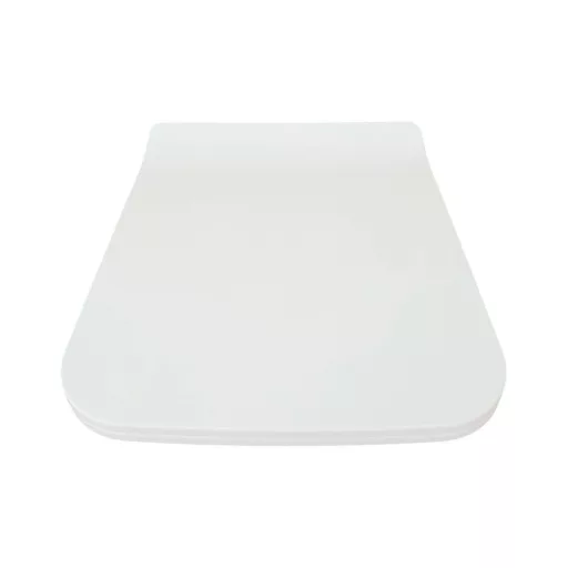 CeraStyle IBIZA / HERA WC ülőke - MATT FEHÉR - duroplast - lecsapódásgátlós - könnyen levehető - WaterMarkt.hu