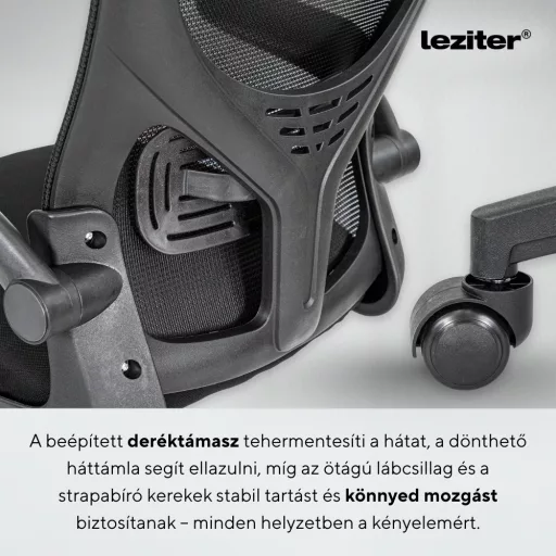 Flexo ergonomikus irodai forgószék deréktámasszal - WaterMarkt.hu