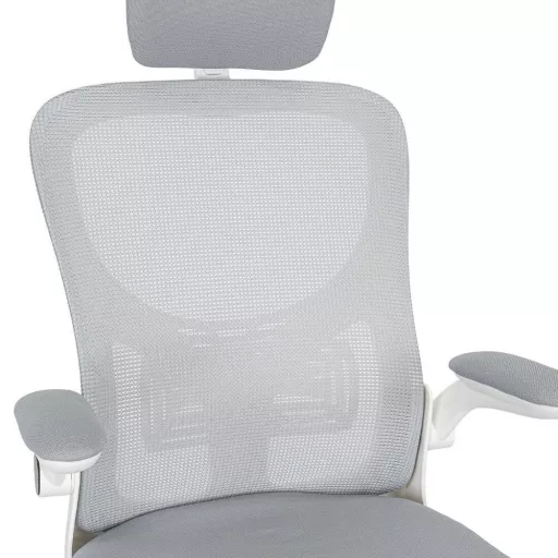 Flexo ergonomikus irodai forgószék deréktámasszal - WaterMarkt.hu