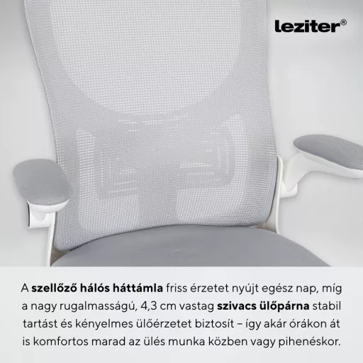 Flexo ergonomikus irodai forgószék deréktámasszal - WaterMarkt.hu