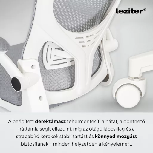 Flexo ergonomikus irodai forgószék deréktámasszal - WaterMarkt.hu