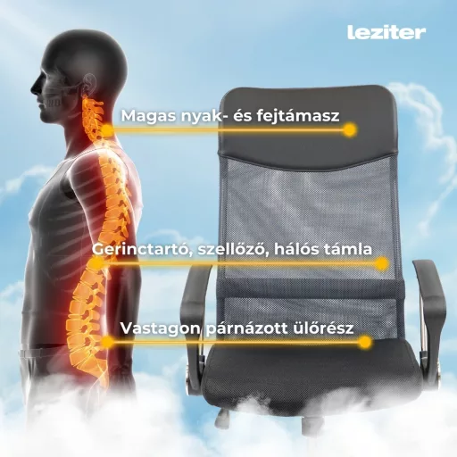 Fit ergonomikus irodai forgószék - WaterMarkt.hu